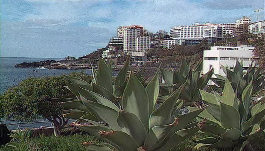 Dados do turismo na Madeira