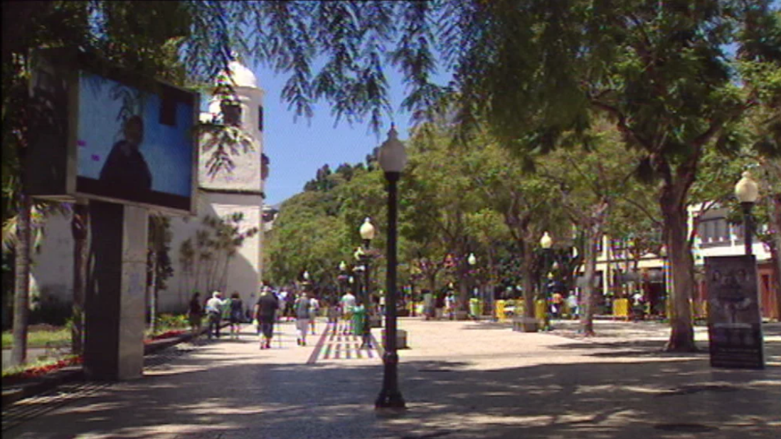 Madeira nomeada para o prémio no WTA 2017