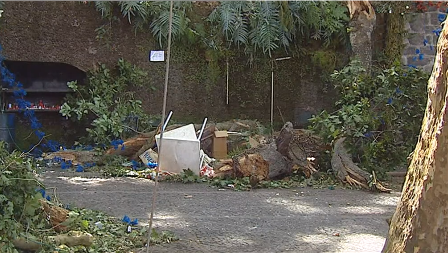 Opinião de Rocha da Silva