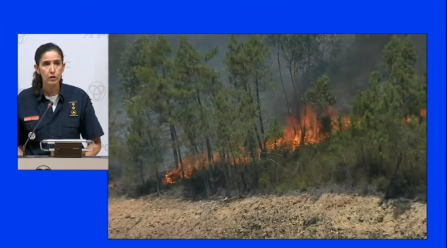 Balanço dos incêndios florestais em Portugal