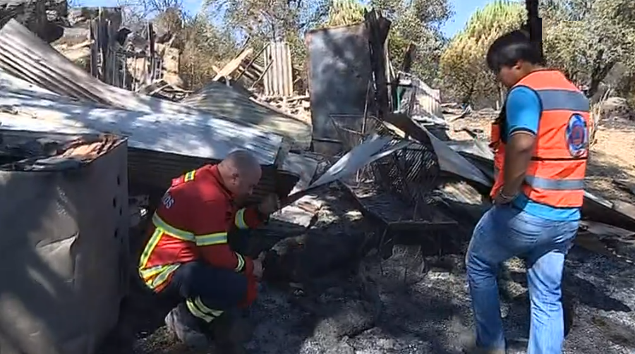 Prejuízos causados pelos incêndios florestais em Gavião