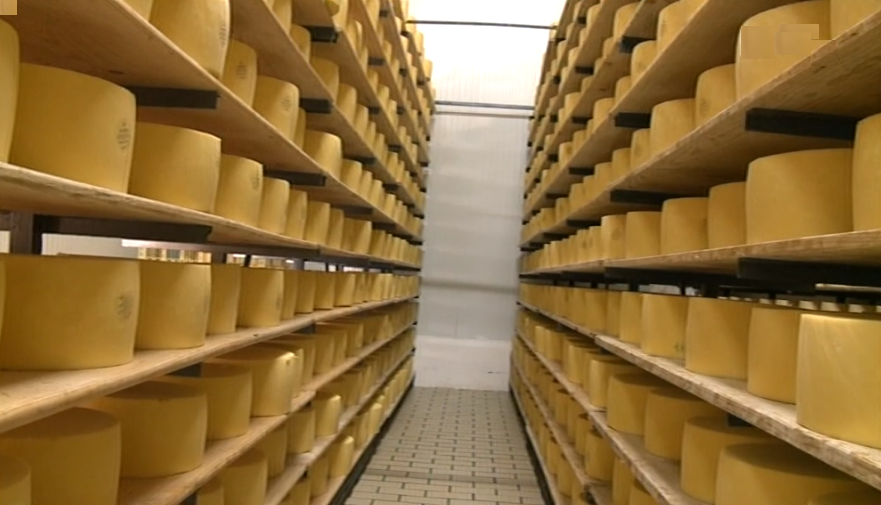 Queijo de São Jorge