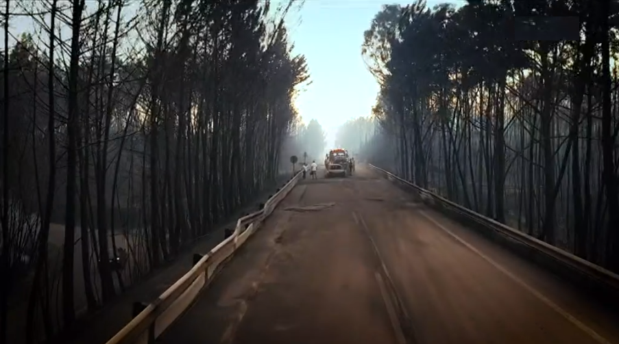 Descoordenação em Pedrógão Grande