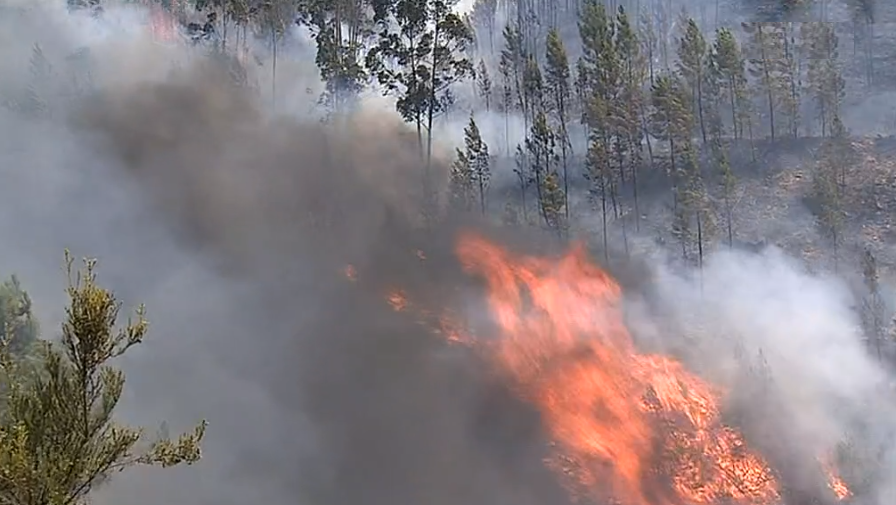 Incêndio florestal em Vila de Rei