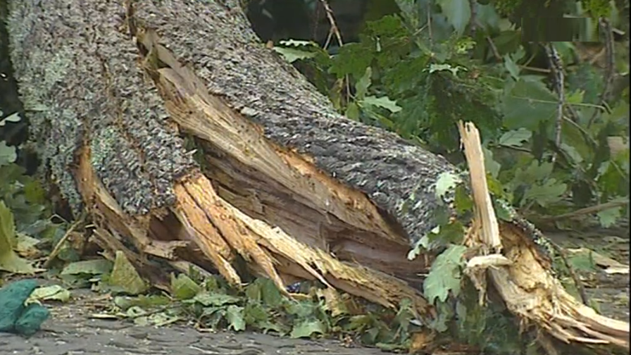 Tragédia no Funchal