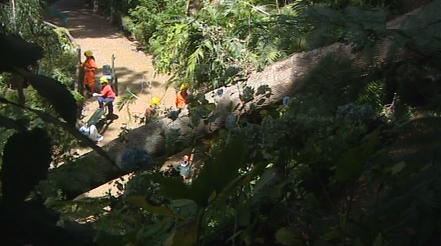 Tragédia no Funchal