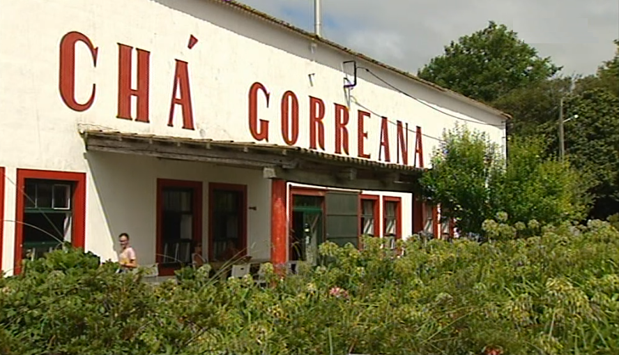 Fábrica de Chá Gorreana