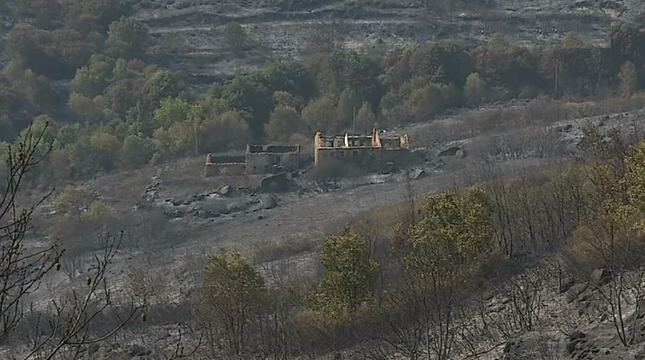Incêndio florestal na Guarda