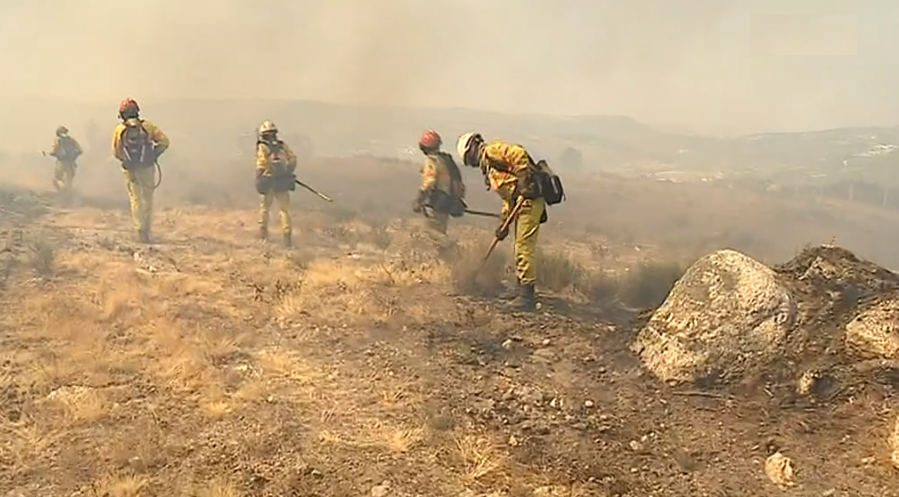 Incêndios florestais na Guarda