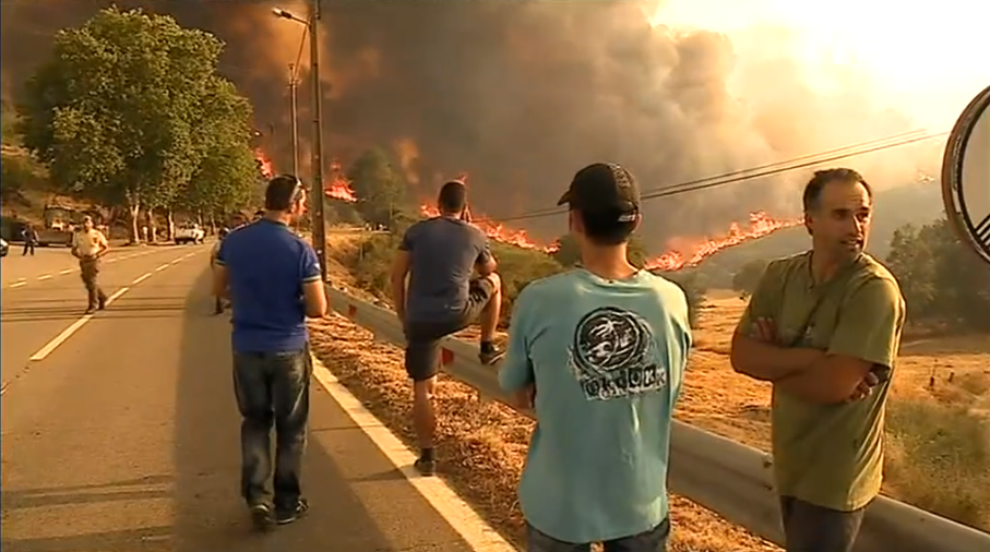 Incêndio florestal na Guarda