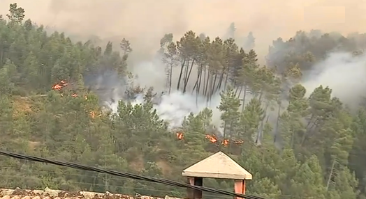 Incêndio florestal em Castelo Branco