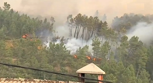 Incêndio florestal em Castelo Branco