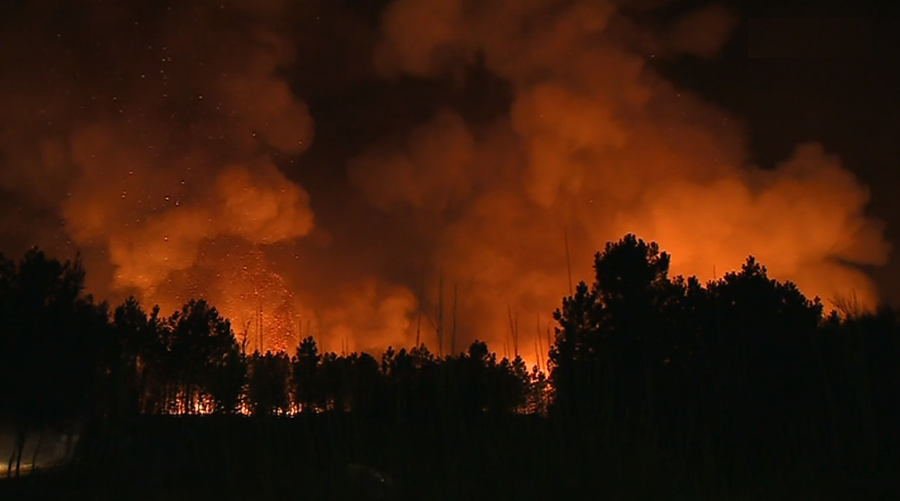 Incêndio florestal em Sabrosa