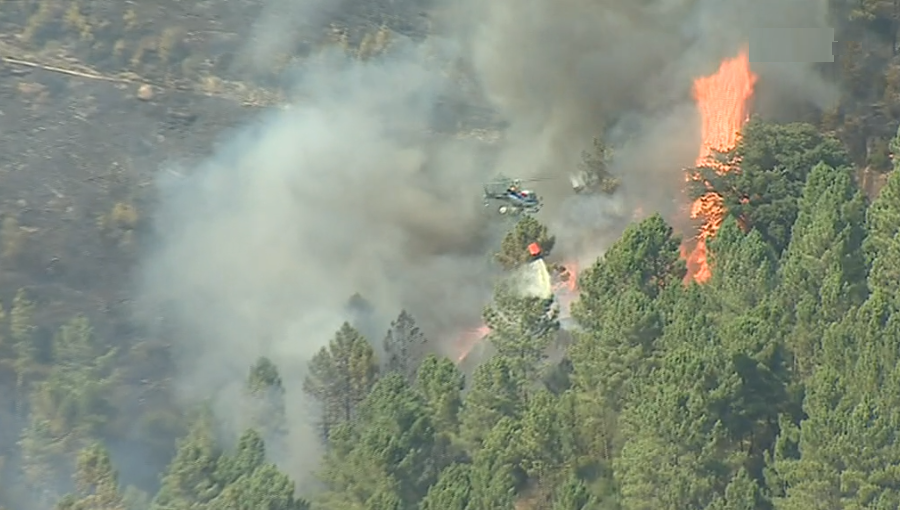Incêndio florestal em Terras de Bouro