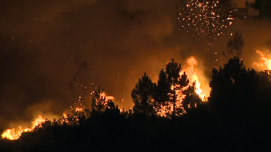 Perfil de incendiários