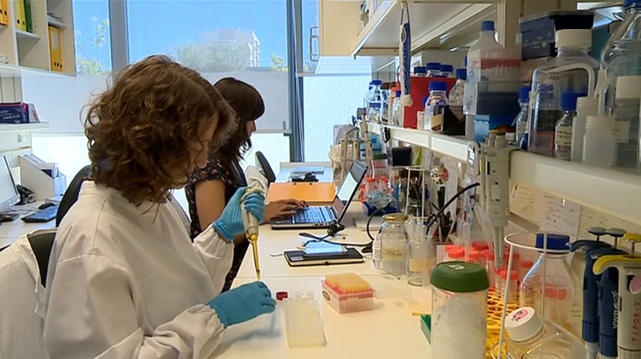 Investigação ao cancro do estomâgo