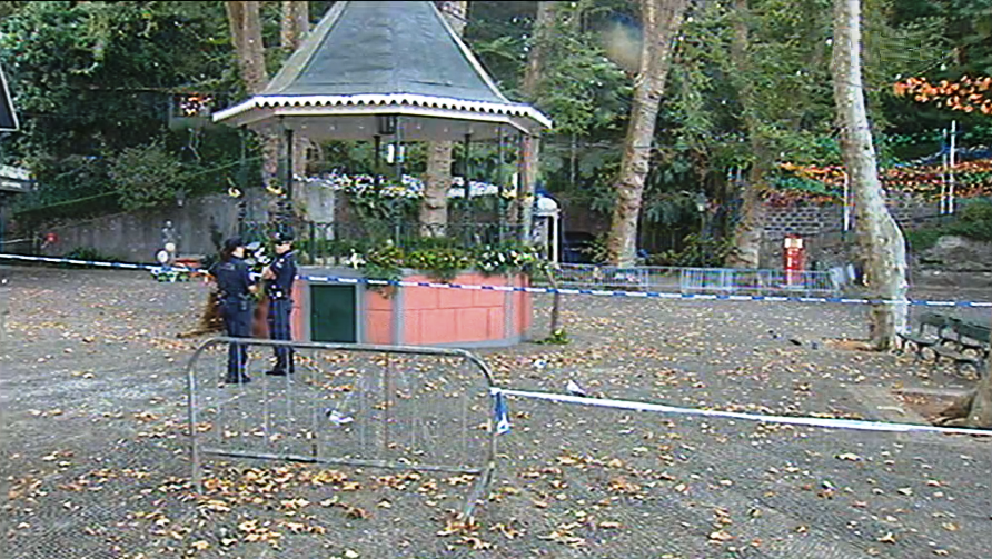 Comércio no Monte afetado pela queda de árvore