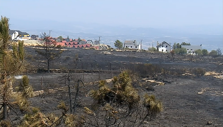 Incêndios florestais em Portugal