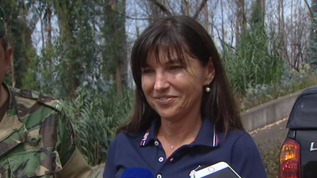 Ação de limpeza de árvores e plantas invasoras no Funchal