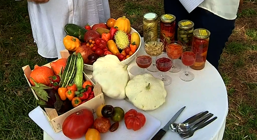 Produção de tomate