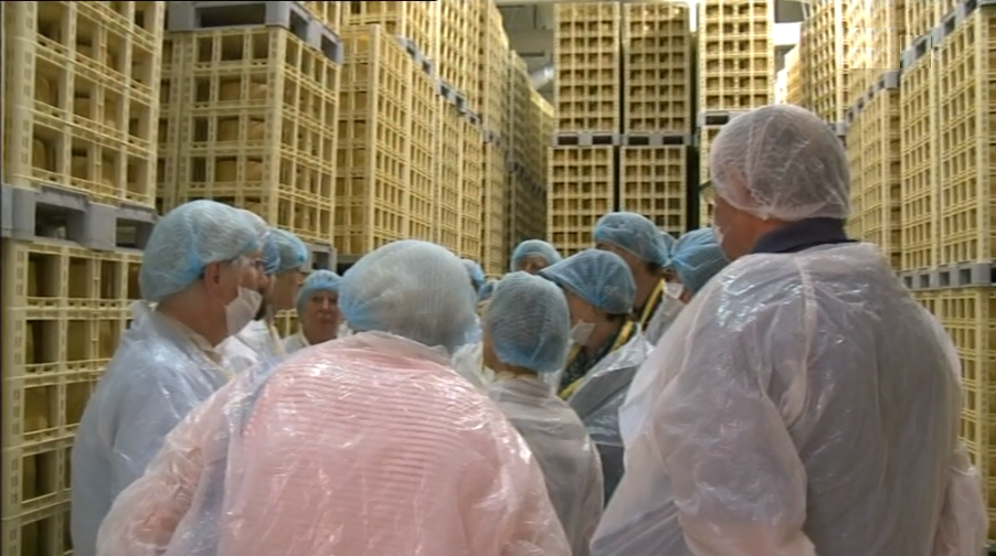 Visita a fábrica Uniqueijo