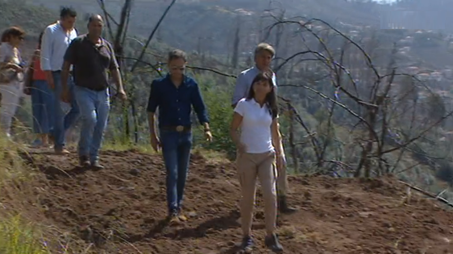 Limpeza de terrenos no Galeão