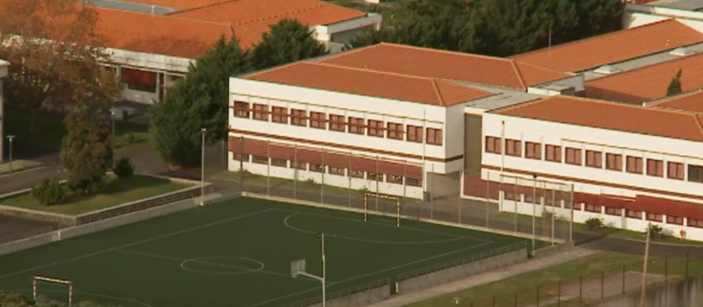 Praga de ratos numa escola da Graciosa