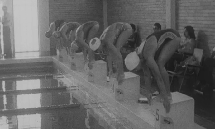 Campeonatos regionais de natação