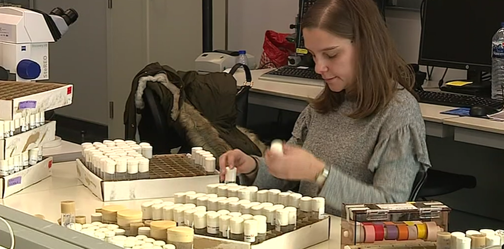 Neurónios e doença de Alzheimer