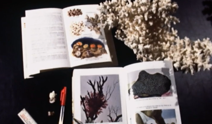 O Aquário: Fonte de conhecimentos