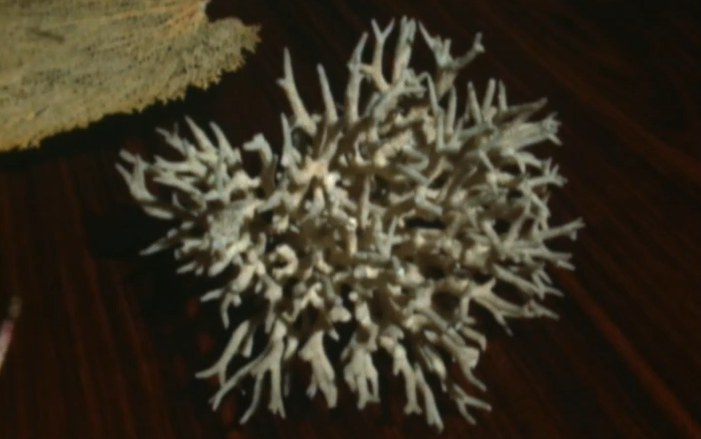 Construção e Decoração do Aquário – Parte II