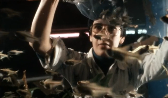 Peixes de Aquário – Parte II