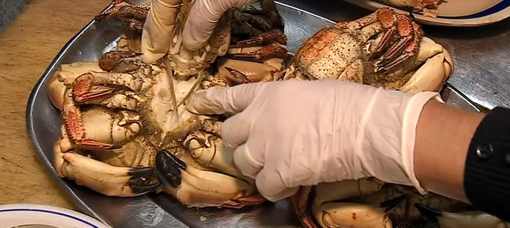 Sapateira recheada na Passagem de Ano