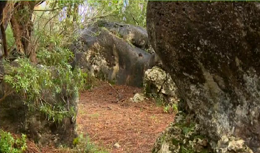 Biosfera, Best of 2013