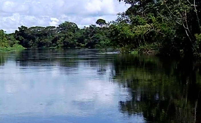 Emigrantes portugueses no Brasil