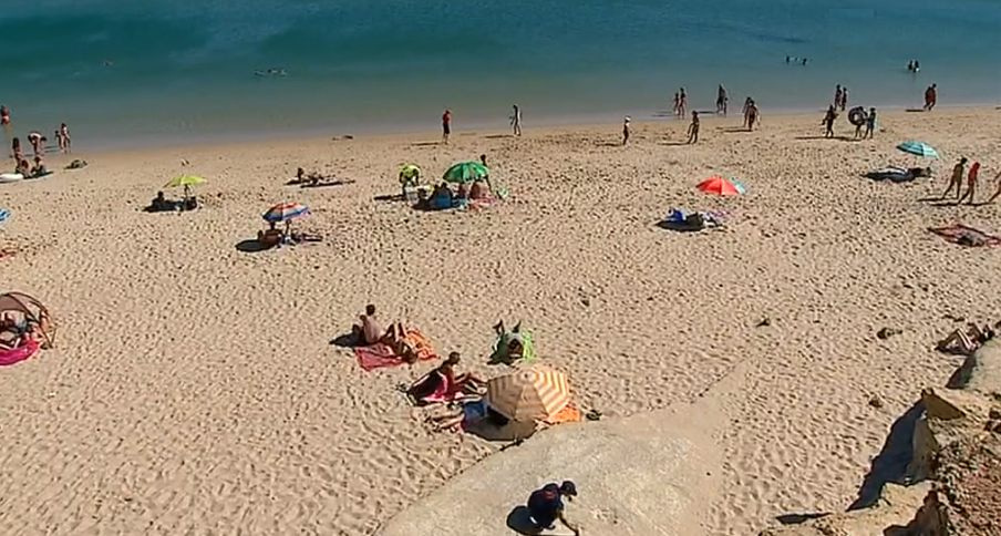 Fósseis nas arribas da praia da Salema