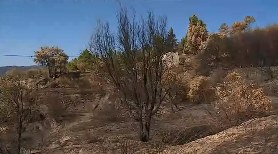 Prejuízos provocados pelo incêndio florestal no Fundão