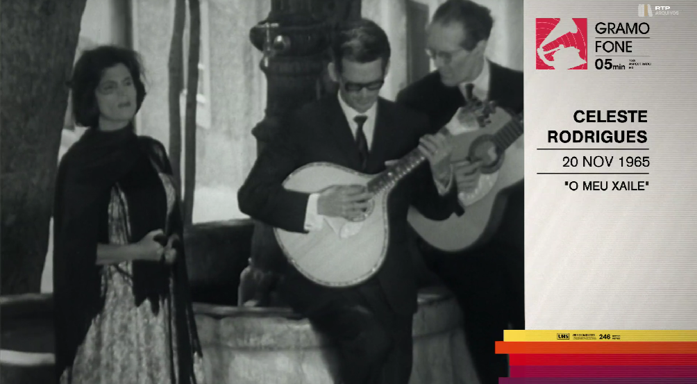 Celeste Rodrigues