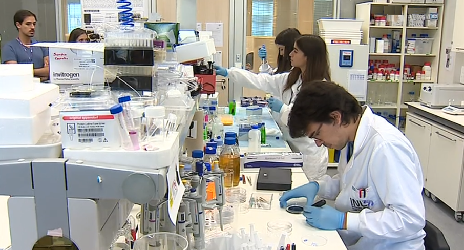 Estágios de Verão no Laboratório Ibérico de Nanotecnologia