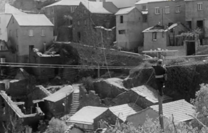 Impacto do incêndio florestal em Cepos