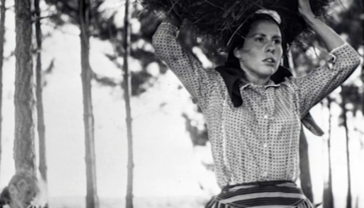 Tributo a Maria Barroso