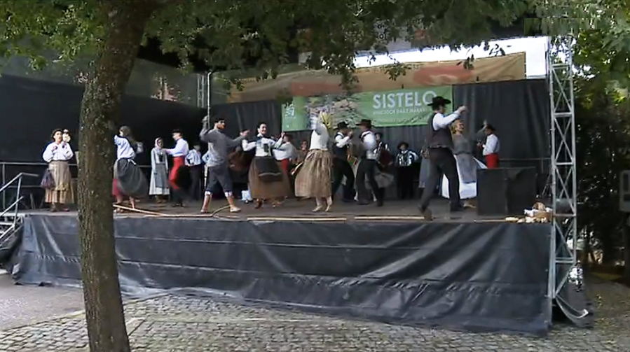 “Feira do Gado” na Portela do Alvite II