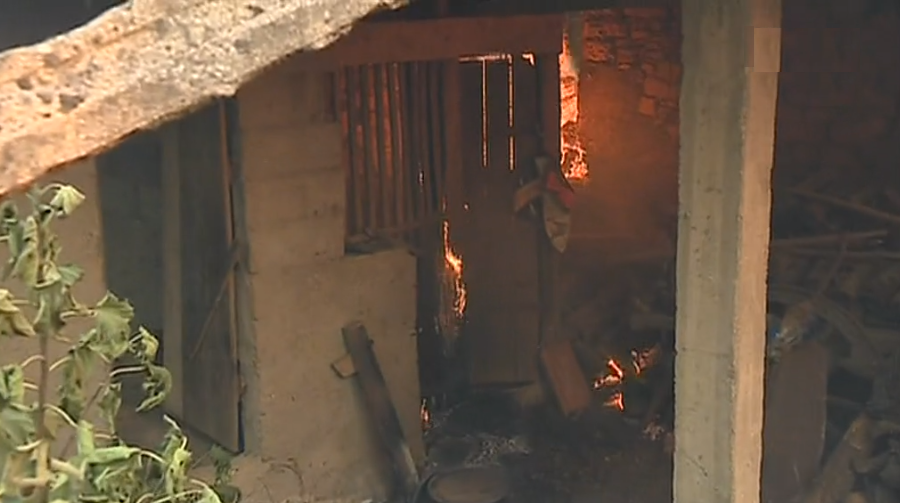 Incêndio florestal na Sertã