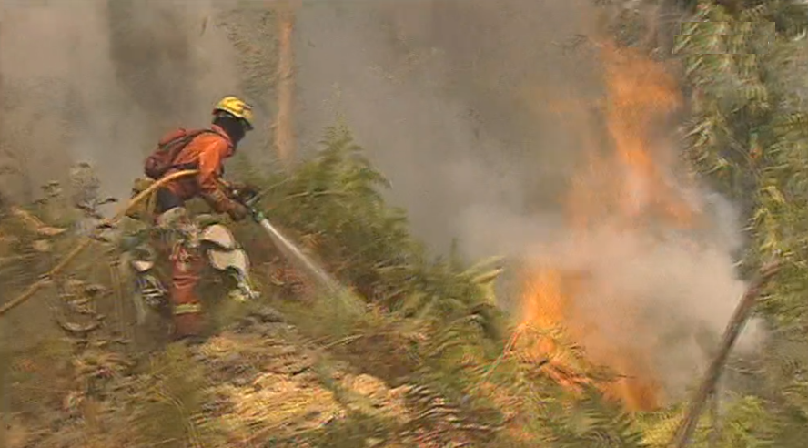Incêndios florestais na Ribeira Brava e Ponta do Sol