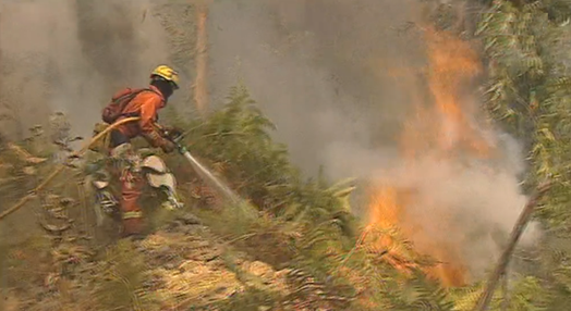 Incêndios florestais na Ribeira Brava e Ponta do Sol