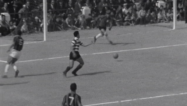 Futebol: Olhanense vs Sporting