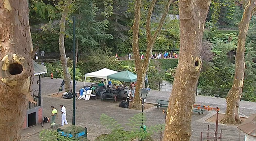 Freguesia do Monte pede aos bombeiros para retirarem galho de plátano