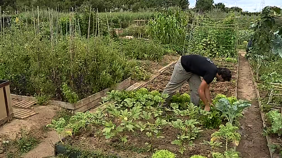 Parque Ecológico da Várzea II
