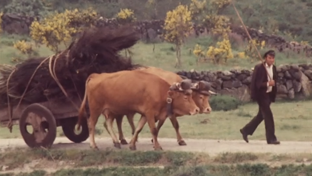 Peneda-Gerês Parque Nacional de Portugal I