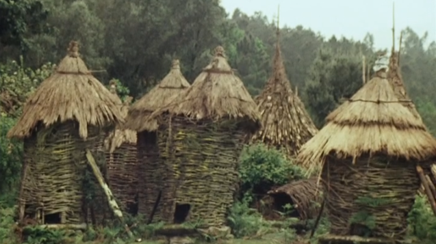 Peneda-Gerês Parque Nacional de Portugal VI